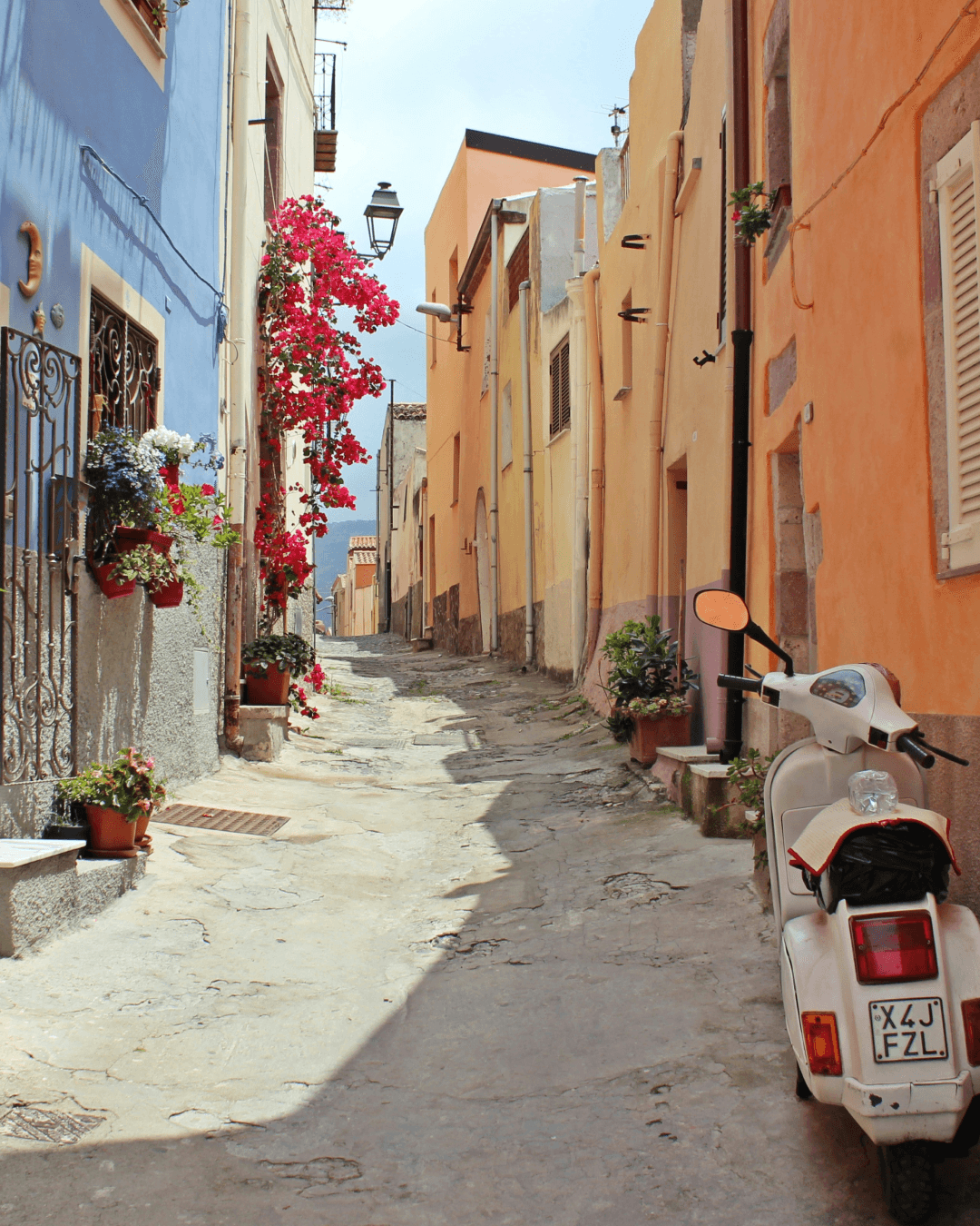 Share your world, earn your way.